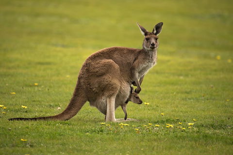 Lure Bed And Breakfast - New South Wales Tourism  20