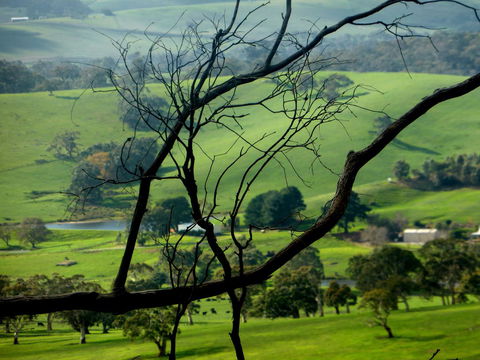Lure Bed And Breakfast - New South Wales Tourism  21