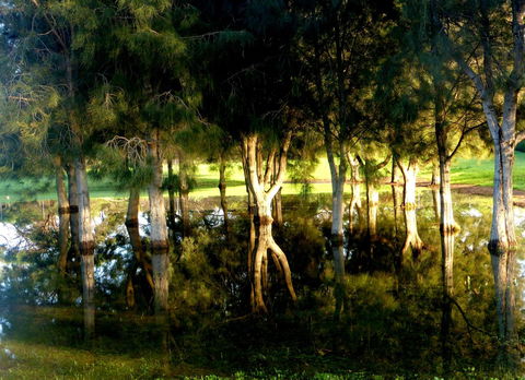 Lure Bed And Breakfast - New South Wales Tourism  18