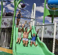 Discovery Parks  Barossa Valley - New South Wales Tourism 