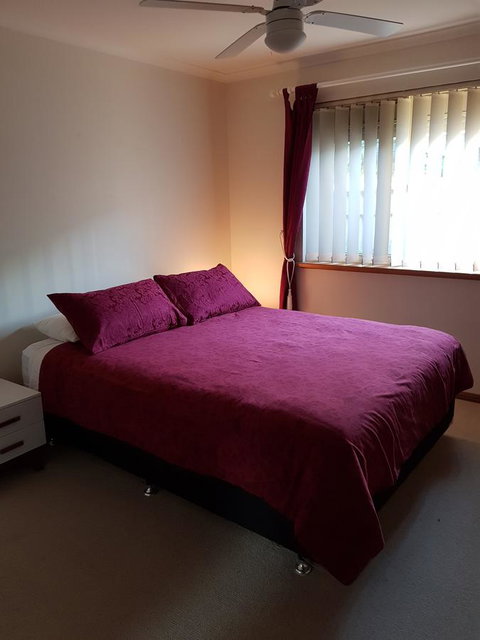 Frog Song At Willunga - New South Wales Tourism  3