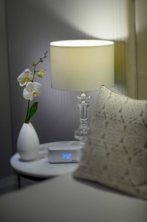 Mayfair Hotel - New South Wales Tourism  13