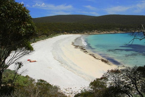 Bay 10 - Suites And Apartments - New South Wales Tourism  27