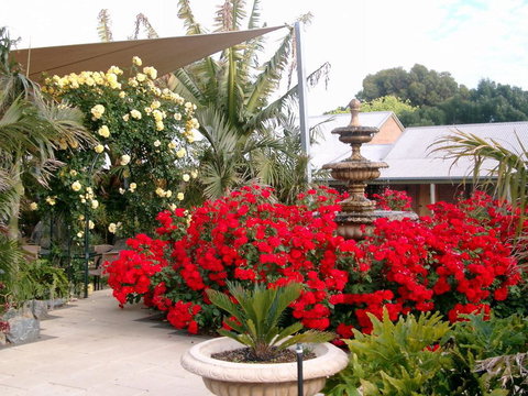 McLaren Vale Motel & Apartments - New South Wales Tourism  35