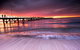 Glenelg Seaside Apartment - thumb 10