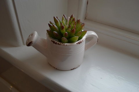 Two Cow Cottage Bed & Breakfast - New South Wales Tourism  21