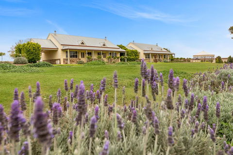 Barossa Vineyard Cottages - New South Wales Tourism  10