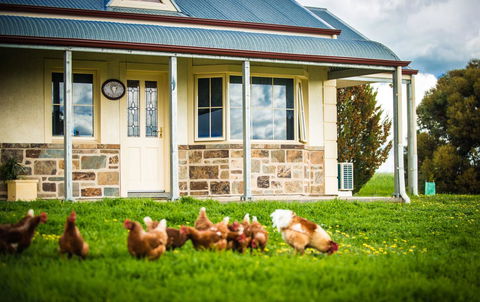 Barossa Vineyard Cottages - New South Wales Tourism  40