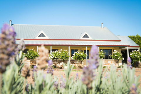 Barossa Vineyard Cottages - New South Wales Tourism  3