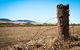 Barossa Vineyard Cottages - thumb 5