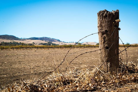 Barossa Vineyard Cottages - New South Wales Tourism  5