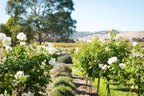 Barossa Vineyard Cottages - New South Wales Tourism  1