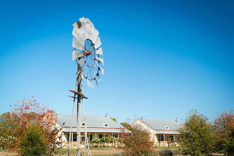 Barossa Vineyard Cottages - New South Wales Tourism  6