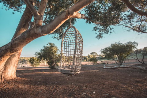 Seppelts View Cabins - New South Wales Tourism  15