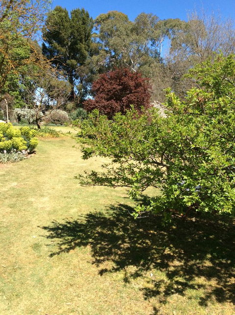 Kit Kat Cottage - Heritage Accommodation Burra - New South Wales Tourism  6