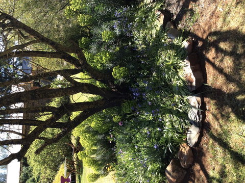 Kit Kat Cottage - Heritage Accommodation Burra - New South Wales Tourism  3