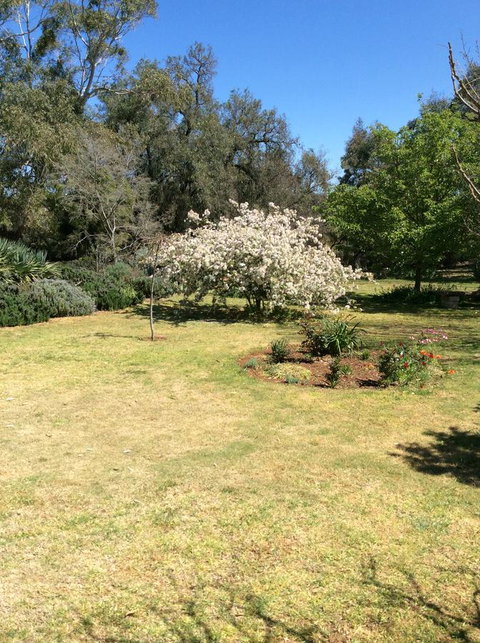 Kit Kat Cottage - Heritage Accommodation Burra - New South Wales Tourism  5