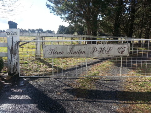 Three Linden - New South Wales Tourism  6