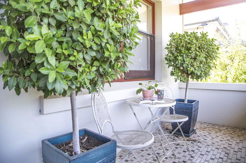 Mataro Cottage - New South Wales Tourism  2
