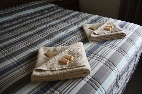 Isis Motel Scone - New South Wales Tourism  3