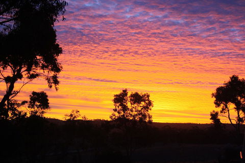 Rabbiters Hut - New South Wales Tourism  33