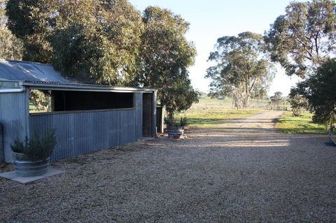 Rabbiters Hut - New South Wales Tourism  8