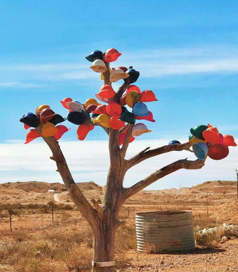 Aussie Opal Diggers Outback Retreat-Undergound - New South Wales Tourism  29