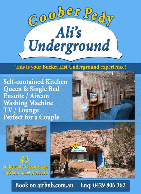Ali\'s Underground Studio - New South Wales Tourism  12