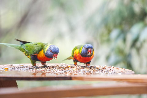 Smiths Lake House - New South Wales Tourism  18