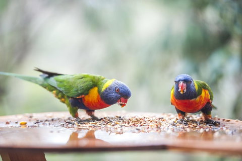 Smiths Lake House - New South Wales Tourism  28