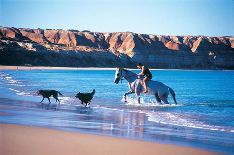 Lavina Luxury Beach House - New South Wales Tourism  25