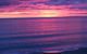 Lavina Luxury Beach House - thumb 26