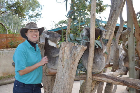 Lazy Days Cottage - Victor Harbor - New South Wales Tourism  1