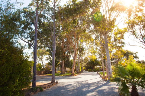 Modra\'s Apartments - New South Wales Tourism  0