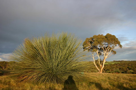 Ecopia Retreat - New South Wales Tourism  23