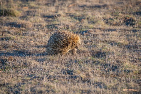 Ecopia Retreat - New South Wales Tourism  7