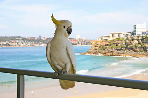 Beachfront Bliss - New South Wales Tourism  23