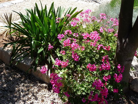 Country Bakehouse Accommodation - New South Wales Tourism  18