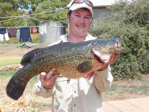 Country Bakehouse Accommodation - New South Wales Tourism  20