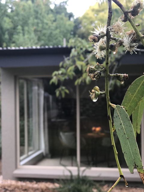 Adelaide Hills Retreats - New South Wales Tourism  9