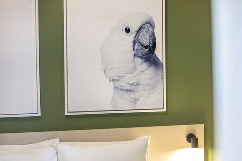 Nightcap At Exeter Hotel - New South Wales Tourism  12