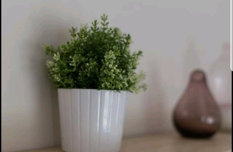 Belford Luxury * New * Clean * Cafes * Near CBD - New South Wales Tourism  13