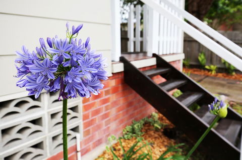 Hudson Bay @ Basin View-Pet Friendly-15 Mins To Hyams Beach - New South Wales Tourism  38