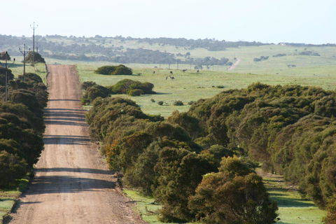 Almonta Park Lodge - New South Wales Tourism  1