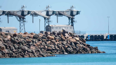 Wallaroo Holiday Park - New South Wales Tourism  6