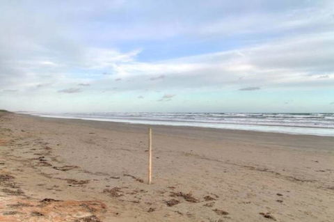 SeaWatch-Sea Views - New South Wales Tourism  6