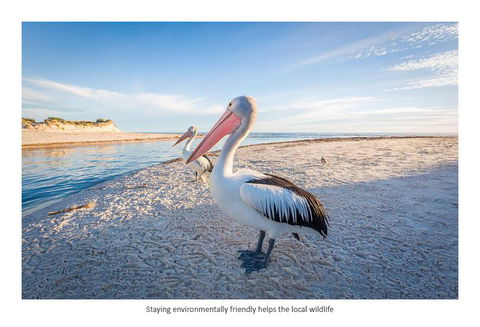 Adelaide Luxury Beach House - New South Wales Tourism  25