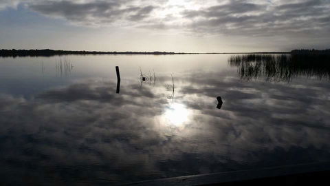 PS Federal Retreat Paddle Steamer Goolwa - New South Wales Tourism  16