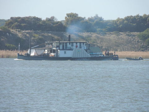 PS Federal Retreat Paddle Steamer Goolwa - New South Wales Tourism  10