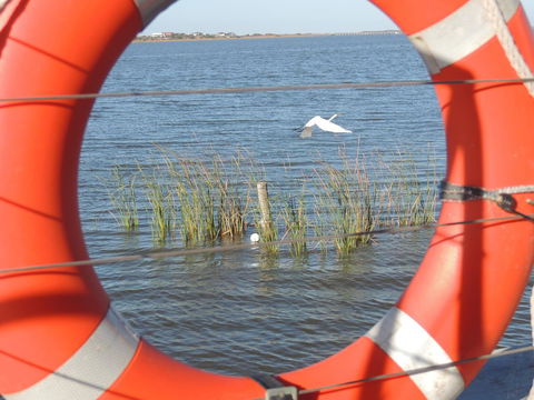 PS Federal Retreat Paddle Steamer Goolwa - New South Wales Tourism  18